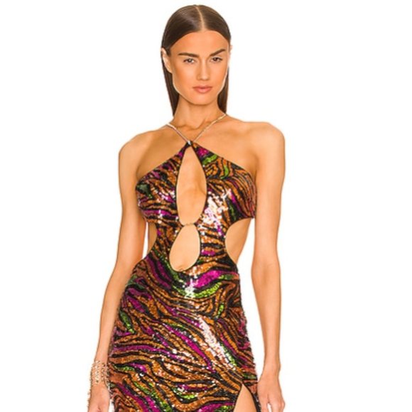 DUNDAS X REVOLVE - Jerry Maxi Dress in Black Zebra - Picture 1 of 8